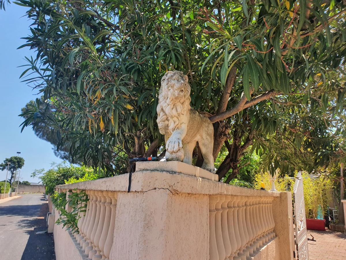 Villa Les Palmiers -Stretta Di I Mandarini Lucciana  Eksteriør bilde