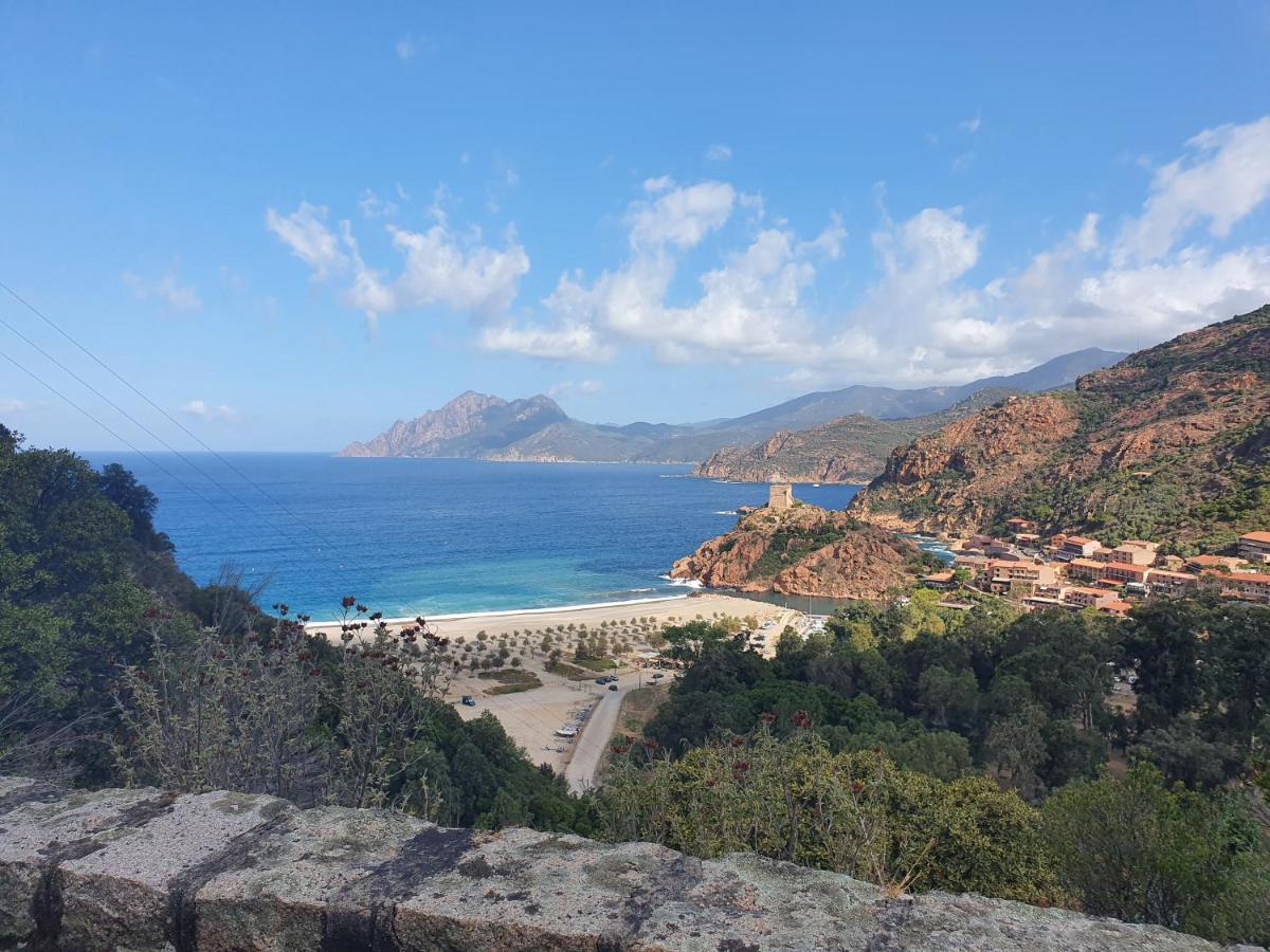 Villa Les Palmiers -Stretta Di I Mandarini Lucciana  Eksteriør bilde