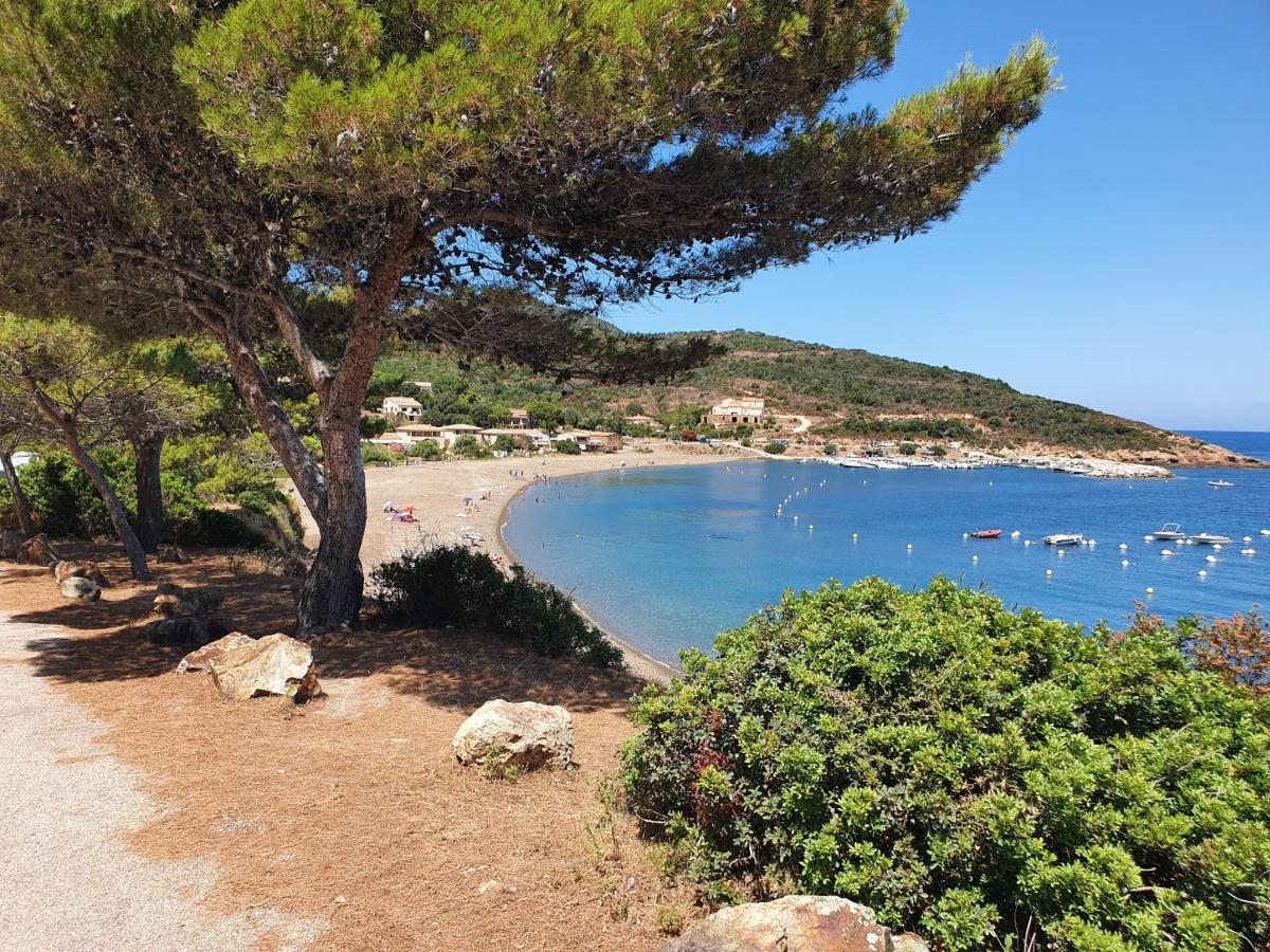 Villa Les Palmiers -Stretta Di I Mandarini Lucciana  Eksteriør bilde
